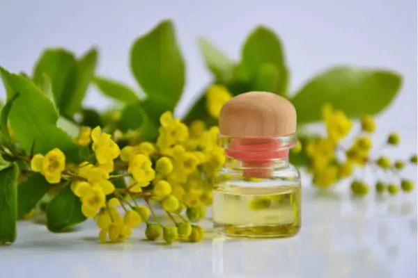 oleo essencial de laranja