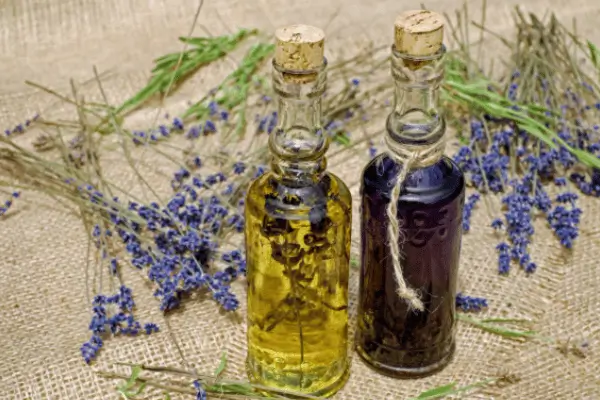 Óleo essencial de Lavanda e o relaxamento – como usar para reduzir o estresse e melhorar o sono